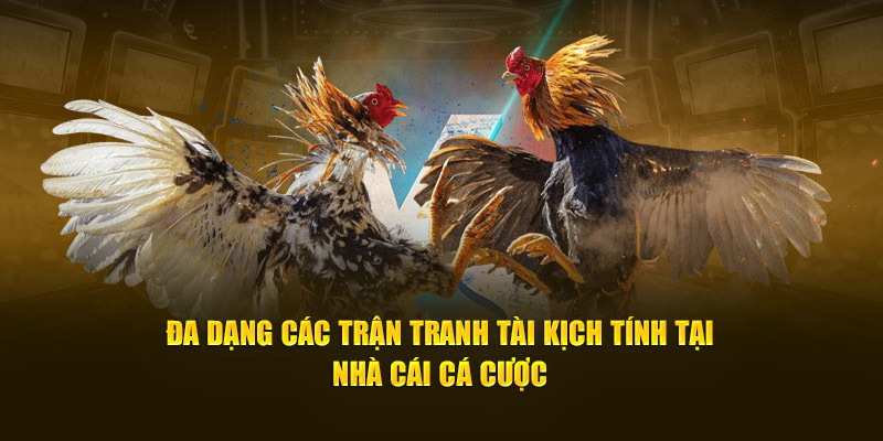 Đa dạng các trận tranh tài kịch tính tại nhà cái cá cược