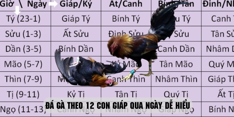 Phương thức đặt cược đá gà theo 12 con giáp chuẩn nhất