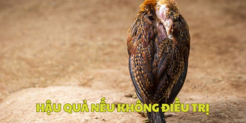 Hậu quả về cả ngoại hình bên ngoài và sức khỏe bên trong