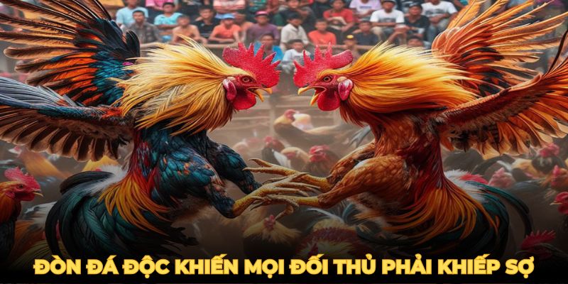 Những đòn đá độc khiến mọi đối thủ phải khiếp sợ